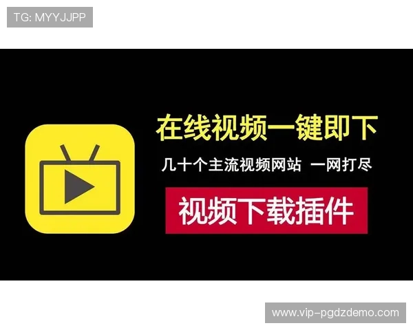 PG插件免费版下载地址推荐，快速获取稳定版本资源